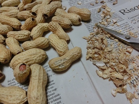 ピーナッツリース