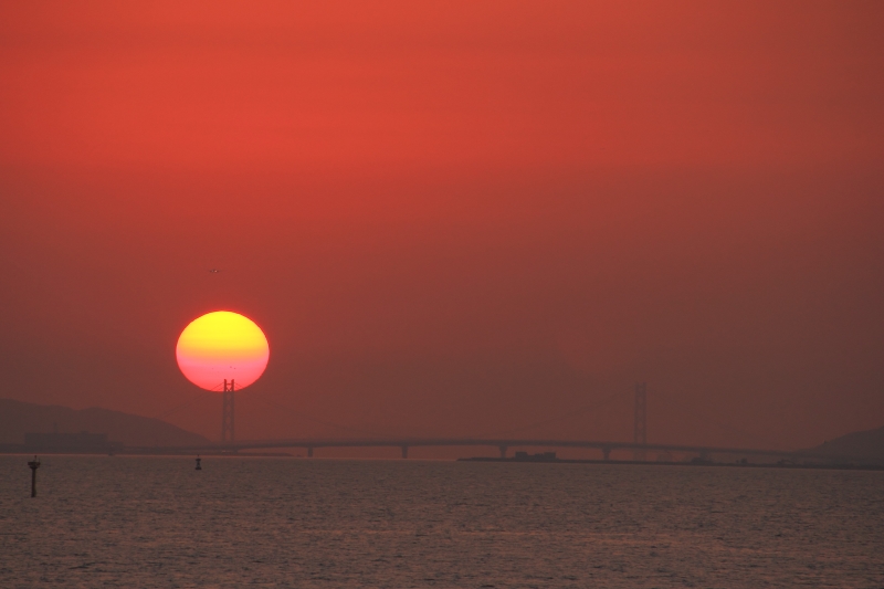 舞洲の夕日_02.jpg