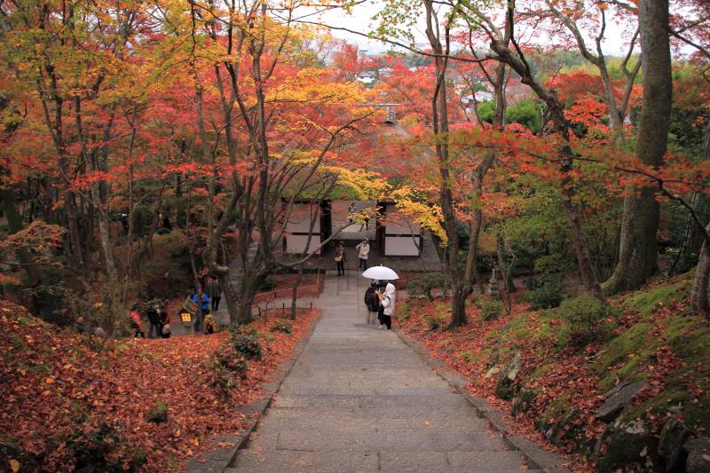 常寂光寺_003.jpg