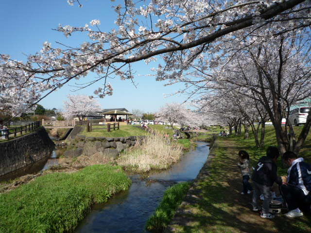 P1040903.JPG