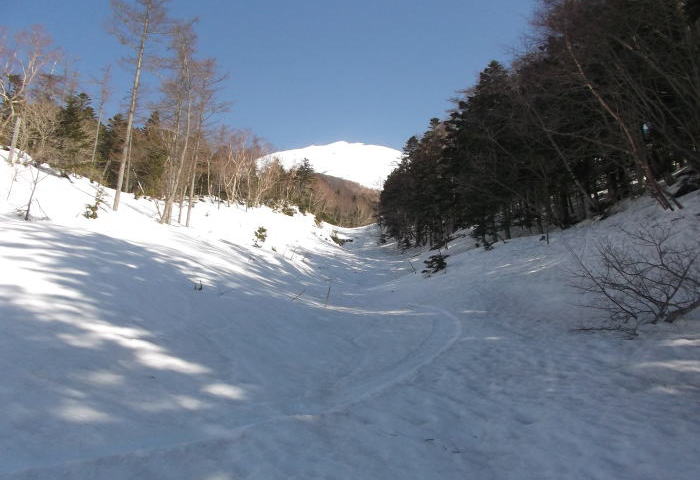 0408z.jpg