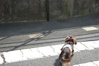 050304c.jpg