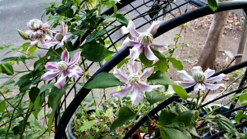 rblog-20181109003225-02.jpg