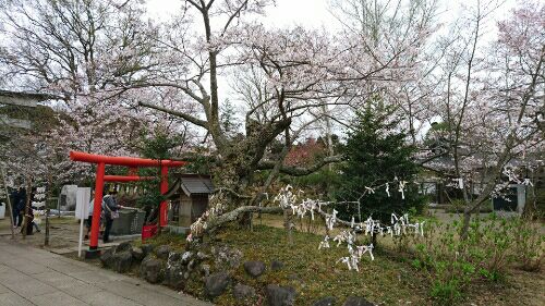 rblog-20160406003549-01.jpg
