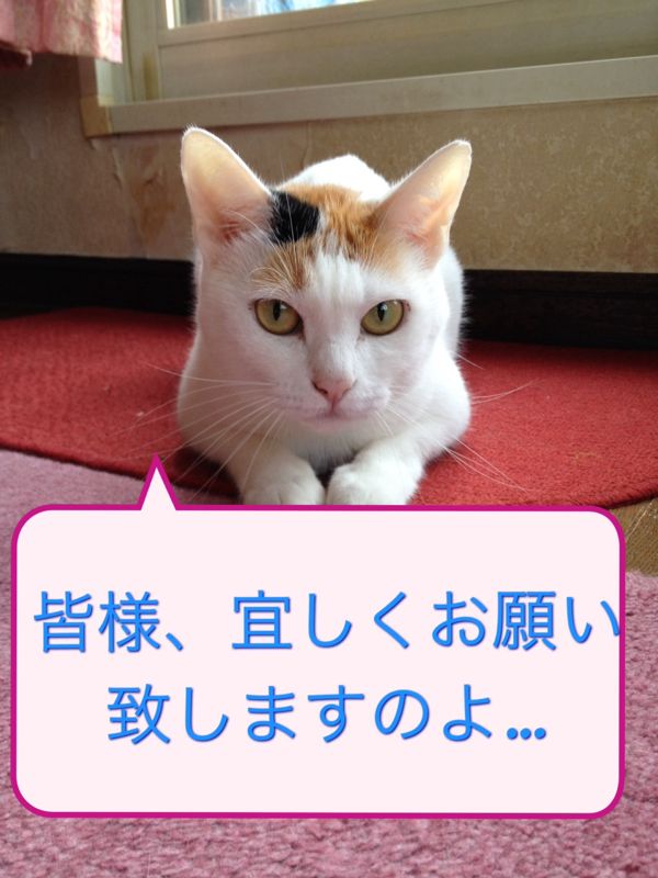 rblog-20141023030033-00.jpg