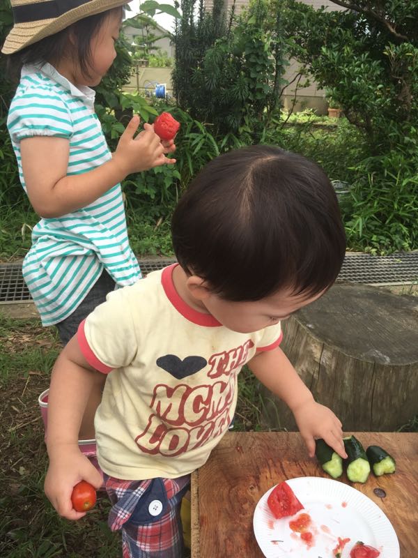 rblog-20160627000824-01.jpg