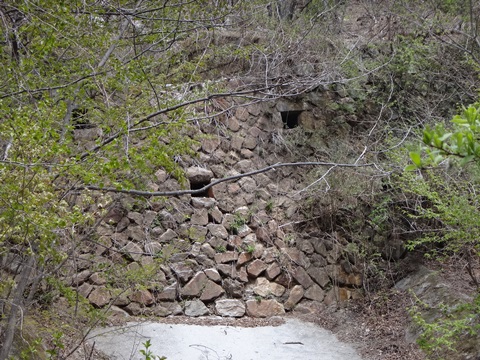 DSC05298.JPG