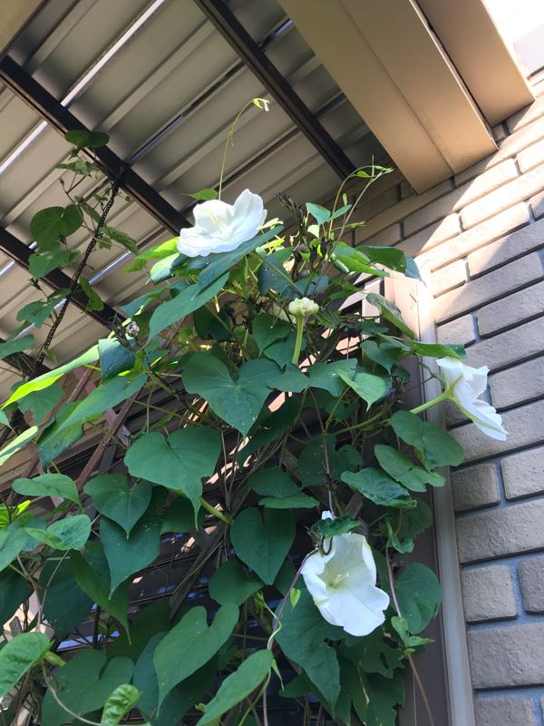 rblog-20181029111344-03.jpg