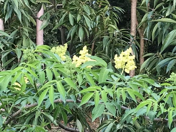 rblog-20180408181817-08.jpg