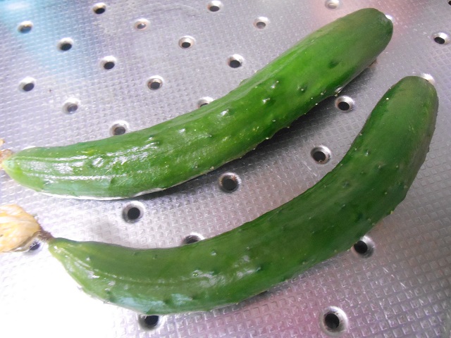 DSCN1889.JPG