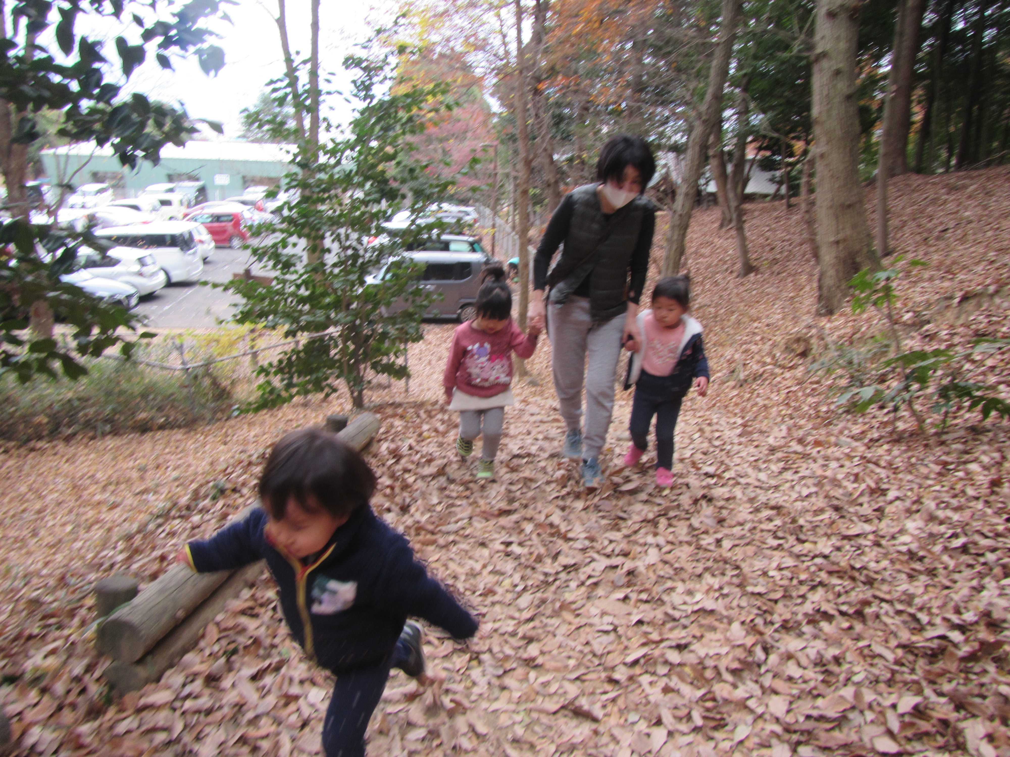 金山登山 | 認定こども園 アプリコット保育園 - 楽天ブログ