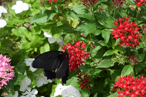 DSC_0147.jpg