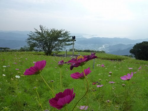 s-P1030355.jpg