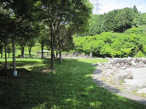 midori4