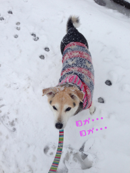 2014-02-08 14.33.57-1.jpg