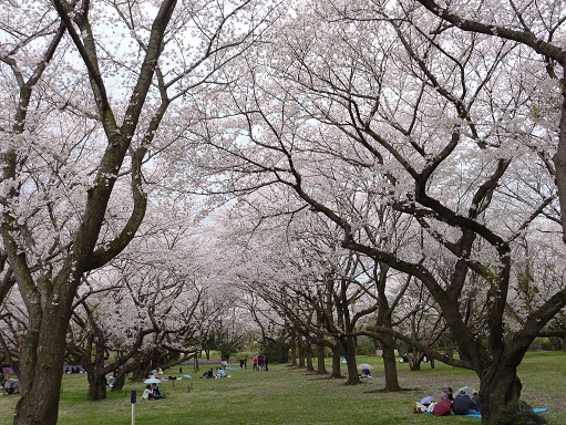 立川.jpg