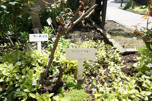 2016年４月3-6.jpg