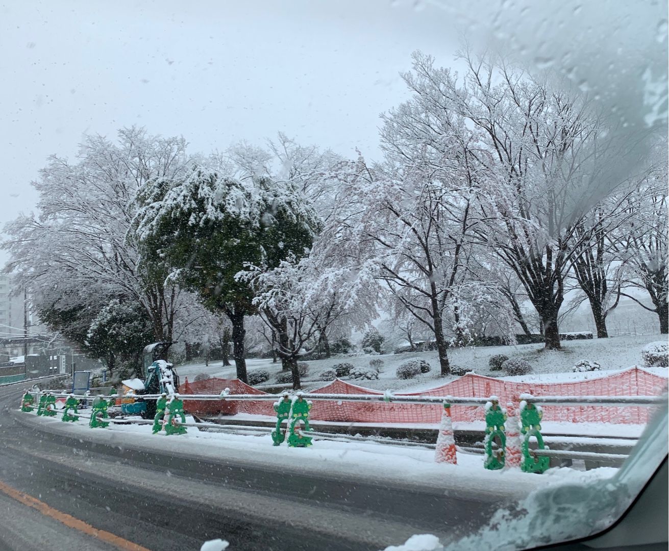 雪の中 卓球の練習に行き 桜と雪のコラボ写真を撮ってきました Music Land 私の庭の花たち 楽天ブログ