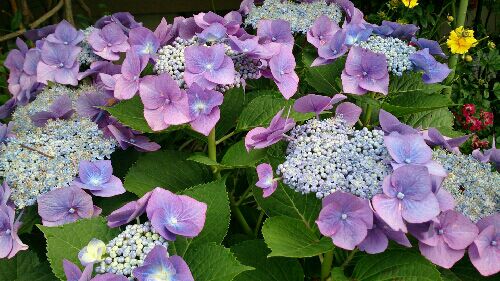 rblog-20150626125212-03.jpg