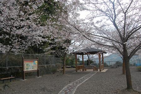 s-DSC_0516.jpg