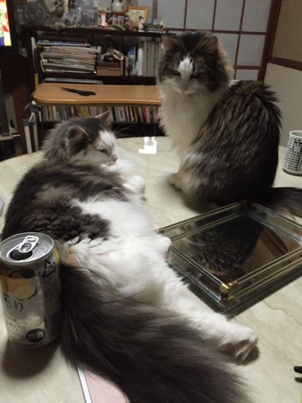 rblog-20151231120031-03.jpg