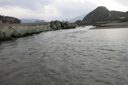 IMG_9975.jpg