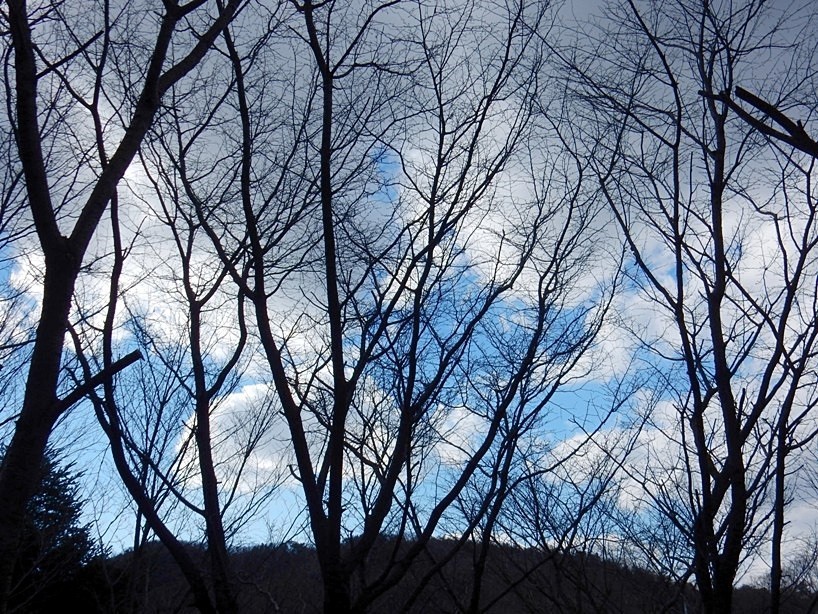 空