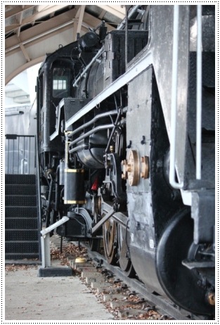 ある猫の最期-1 西部緑地公園 13.1.30