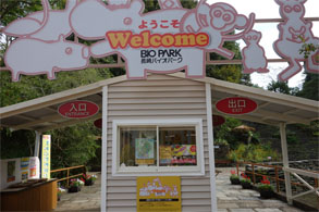 九州463.jpg