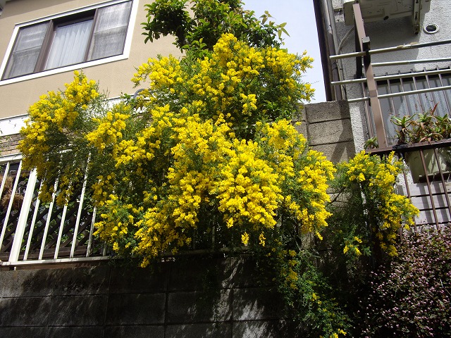IMGP3860.jpg