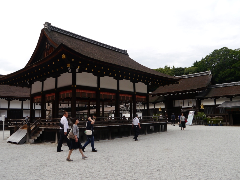 P1090083.JPG
