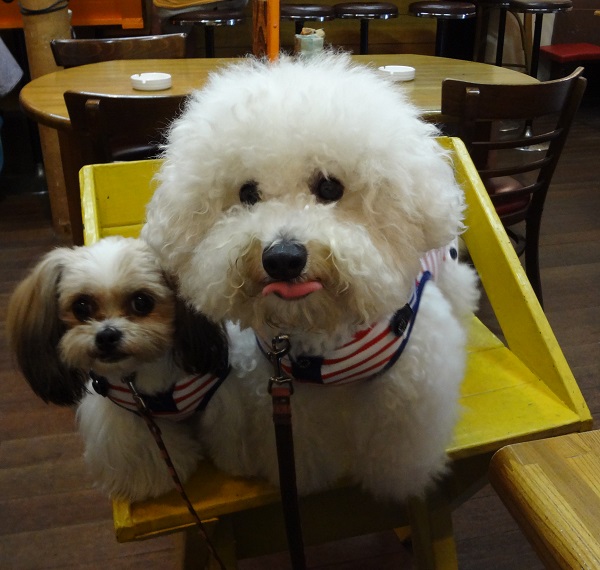 DSC00327.jpgクエスチョン.jpg