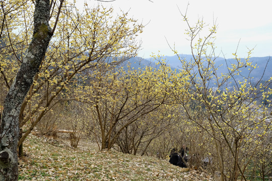 DSCF1716.jpg