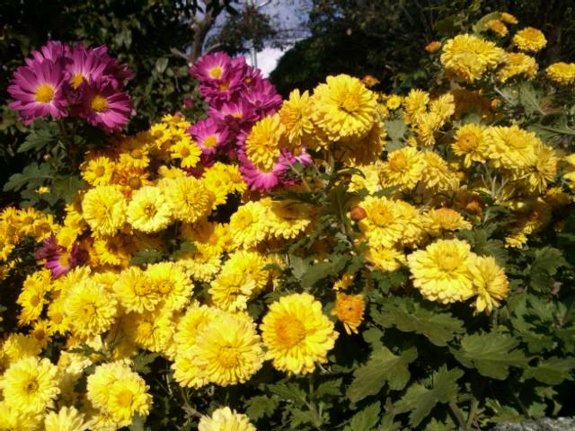 SN3R0959.jpg
