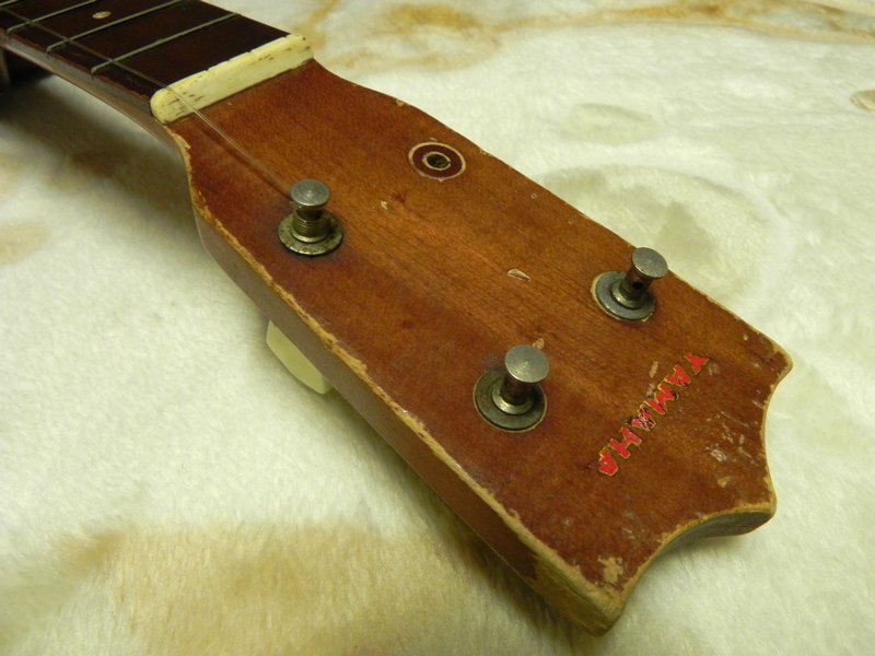 DSCN2451.JPG