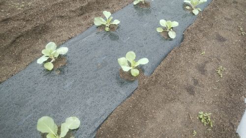 rblog-20180830180002-01.jpg