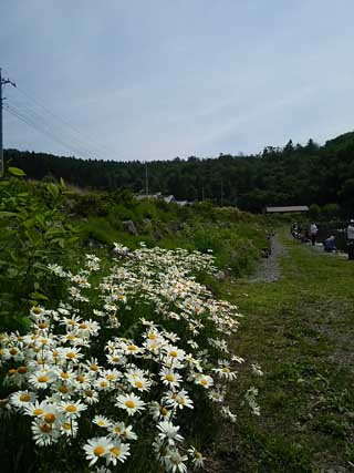 20150523_nakanosawa_04.jpg