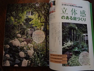 DSC00170.jpg