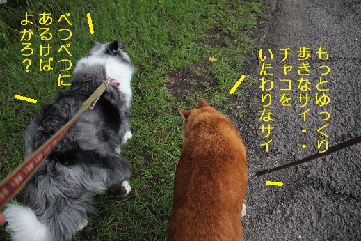 ゆっくり