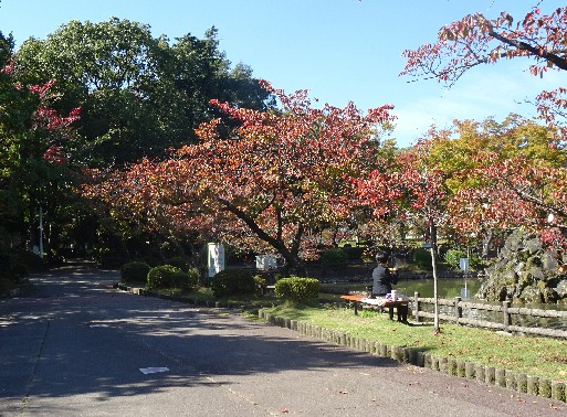 DSC02764.JPG