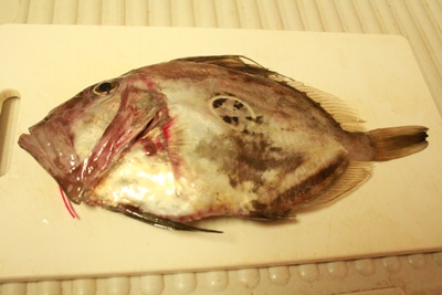 IMG010702.JPG