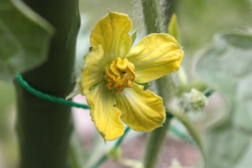 20150606-103.jpg