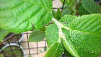 rblog-20130403200225-00.png