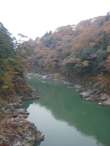 DSC01135_R.JPG