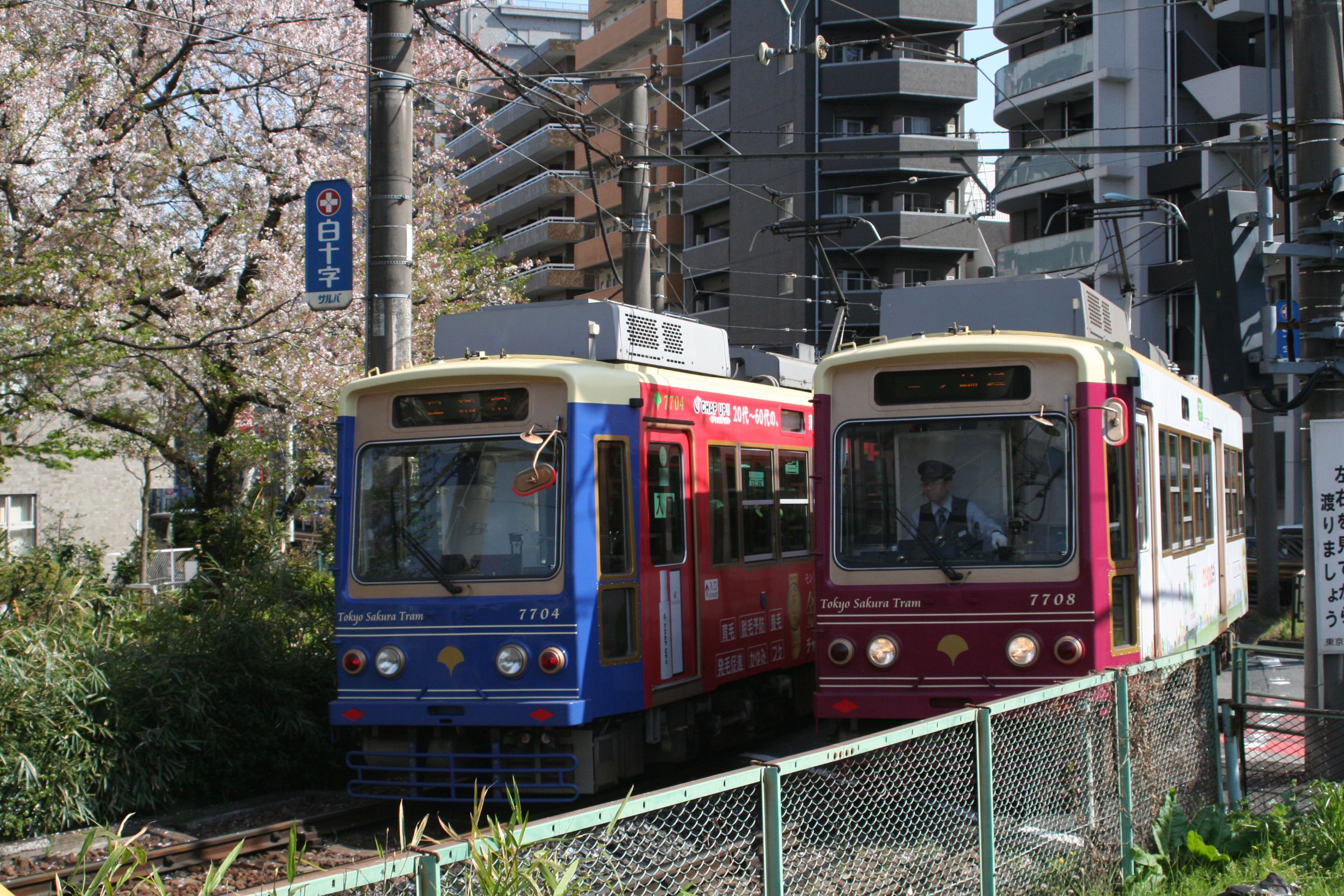 鉄道スケッチ】面影橋の都電荒川線  みゃあみゃあのトーク＆トーク 