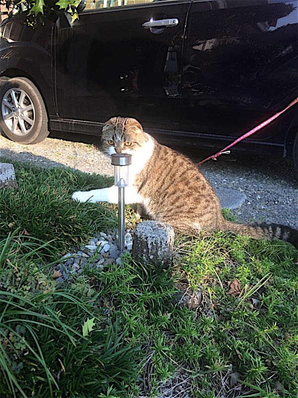 rblog-20151024182633-01.jpg