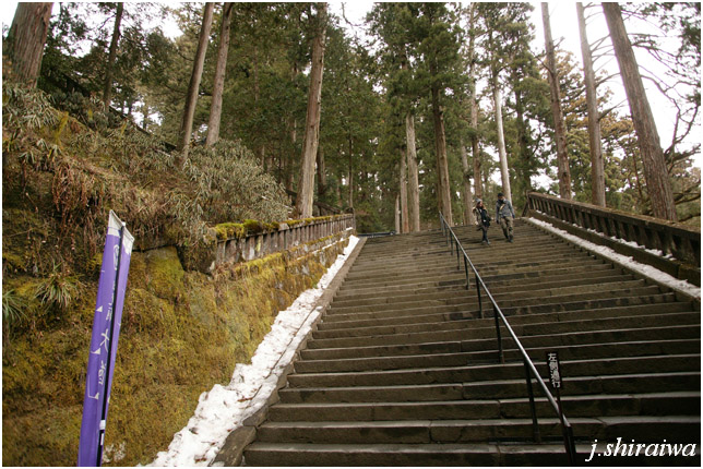 3日間旅行　　2月15日