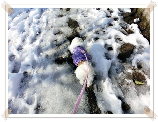 ルナ散歩・雪