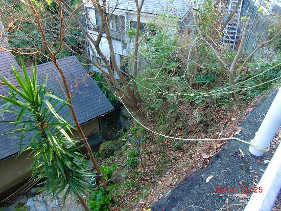 ランチと裏庭の手入れ 012.jpg