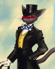 nekobron.jpg